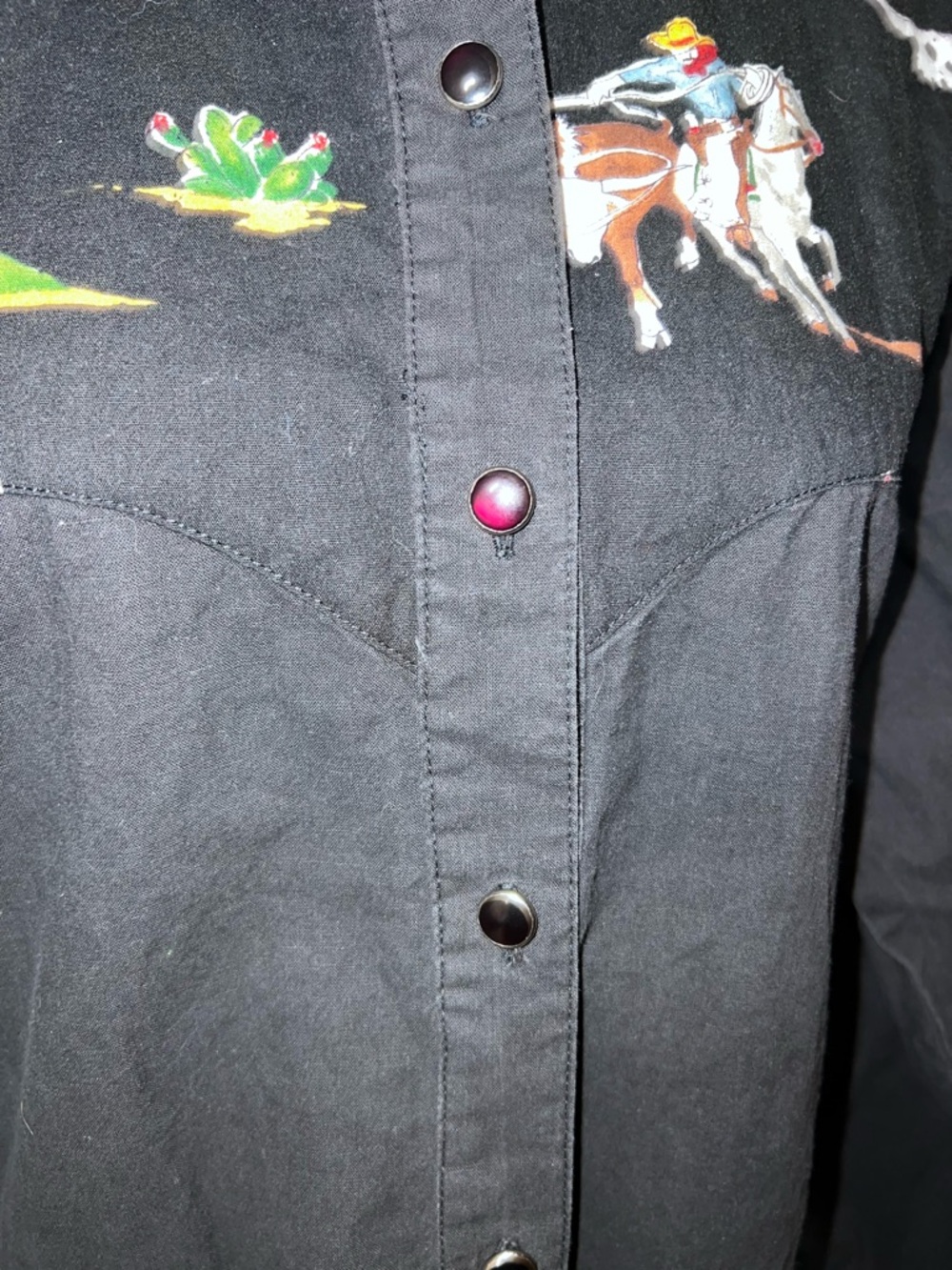 VTG Deserts West by Sherry Holt Cowboy Graphic Pearl Snap Shirt Black Large - Picture 5 of 13